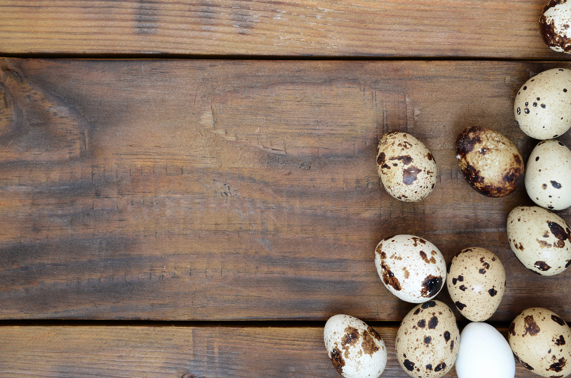 Quail Eggs on a Dark Brown Wooden Surface, Top View, Empty Place